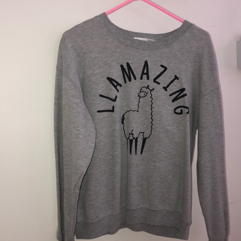 Crew Neck Llama Long Sleeve